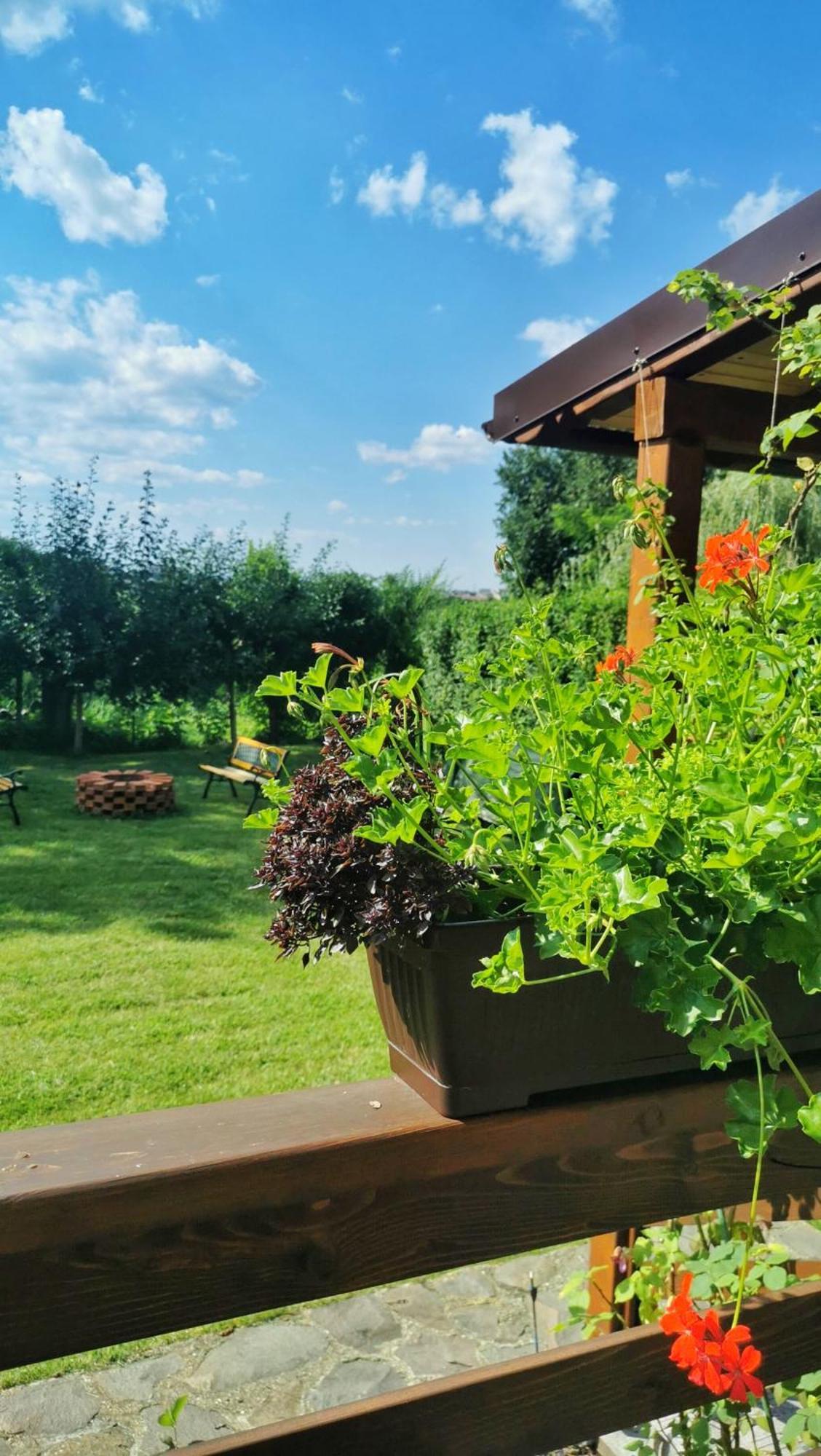 Celeste House Nagyszeben Kültér fotó